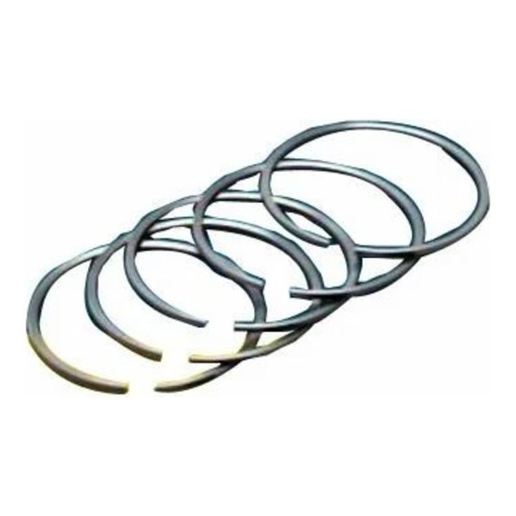 Engine Piston Ring for TATA 2518BSIII(Bulk)