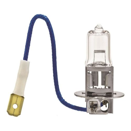 Fog Light Bulb 12V for ALL VEHICLE