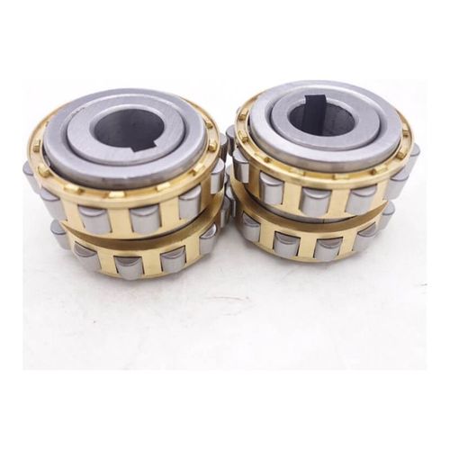 Roller Bearing RN-219m WNT